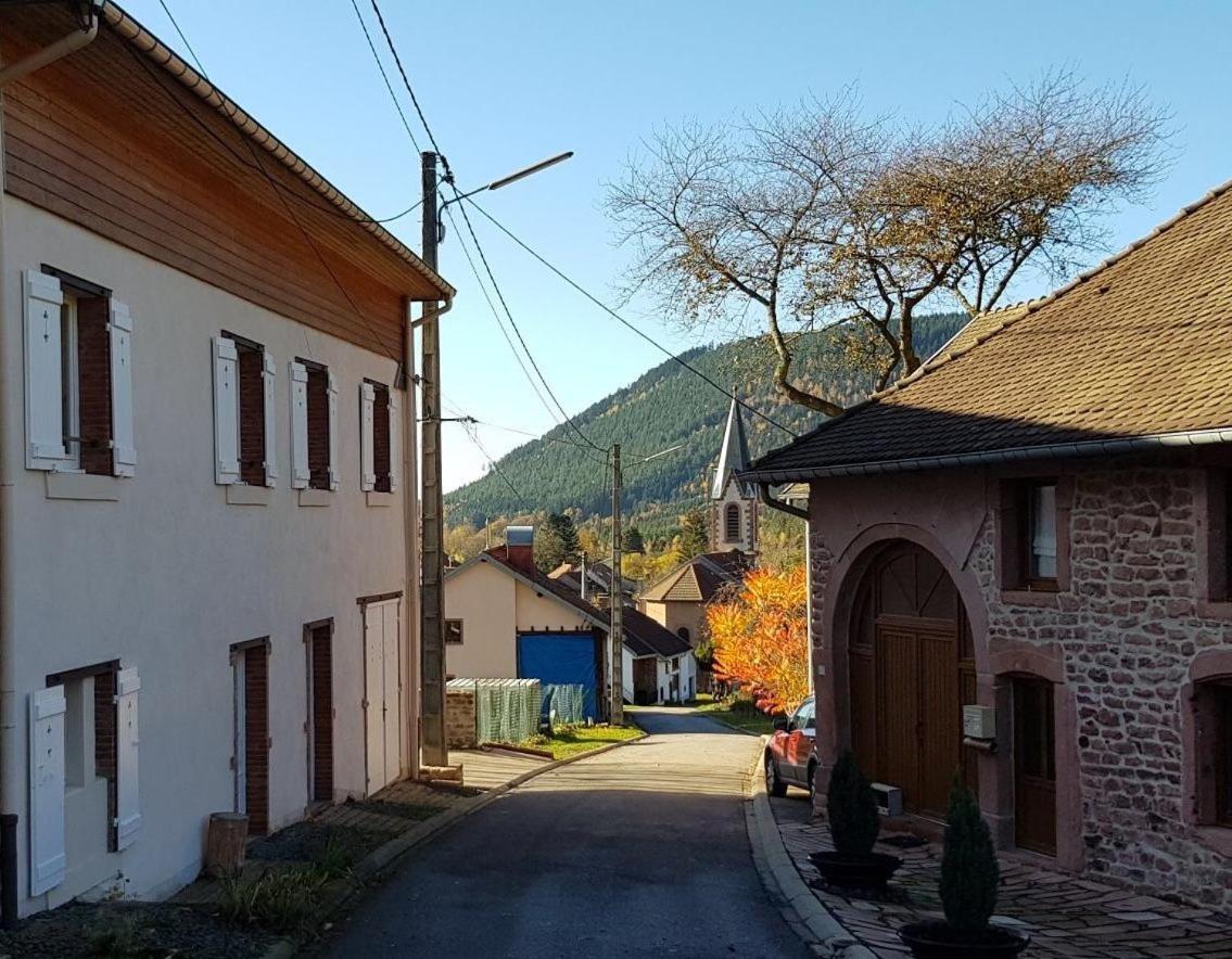 Villa Les Terrasses Du Donon Raon-les-Leau Exterior foto